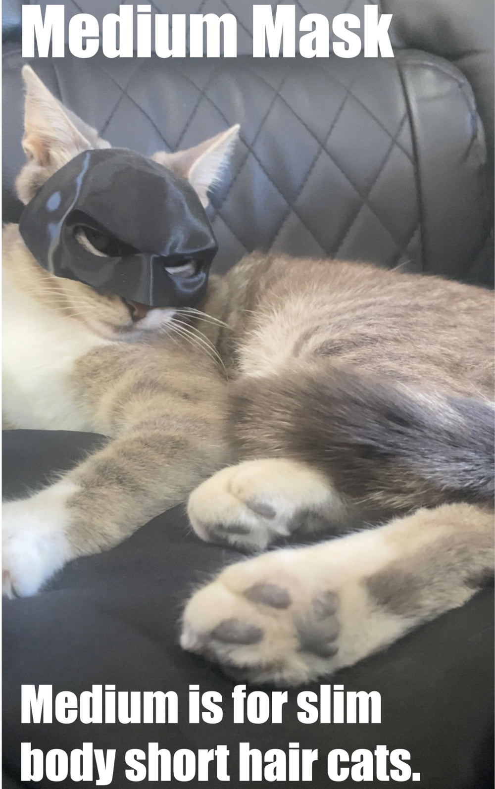 Taille médium du Cat Bat adaptée à la plupart des chats.