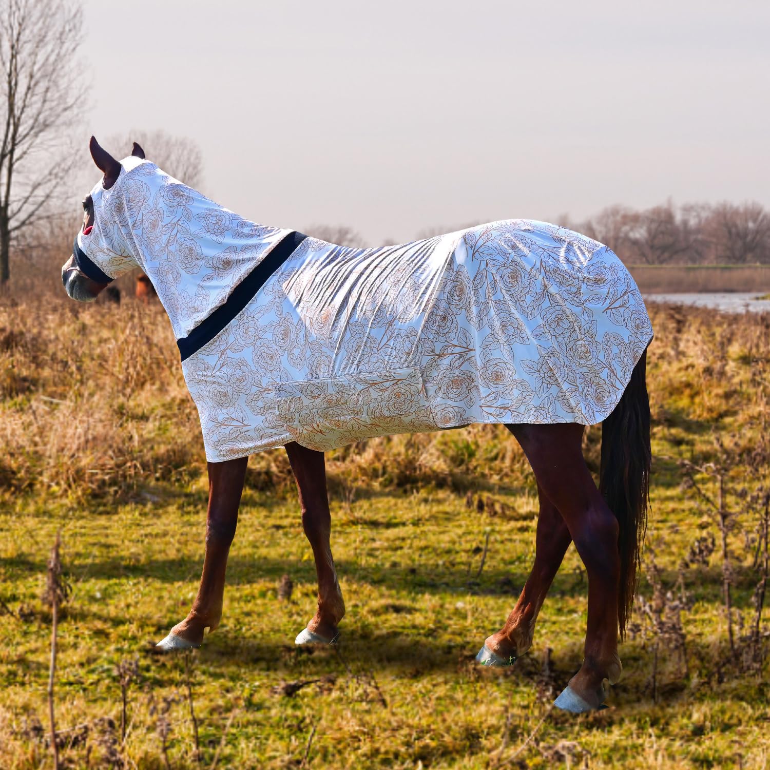 Paloura Slinky cheval protection contre poussière et frottements pendant les soins