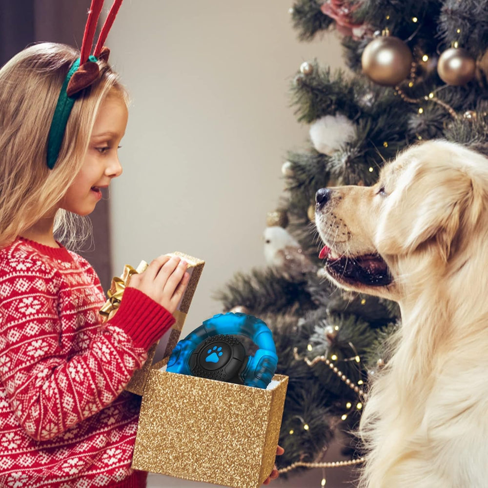 Cadeau anniversaire chien, option Pamlulu ideale.