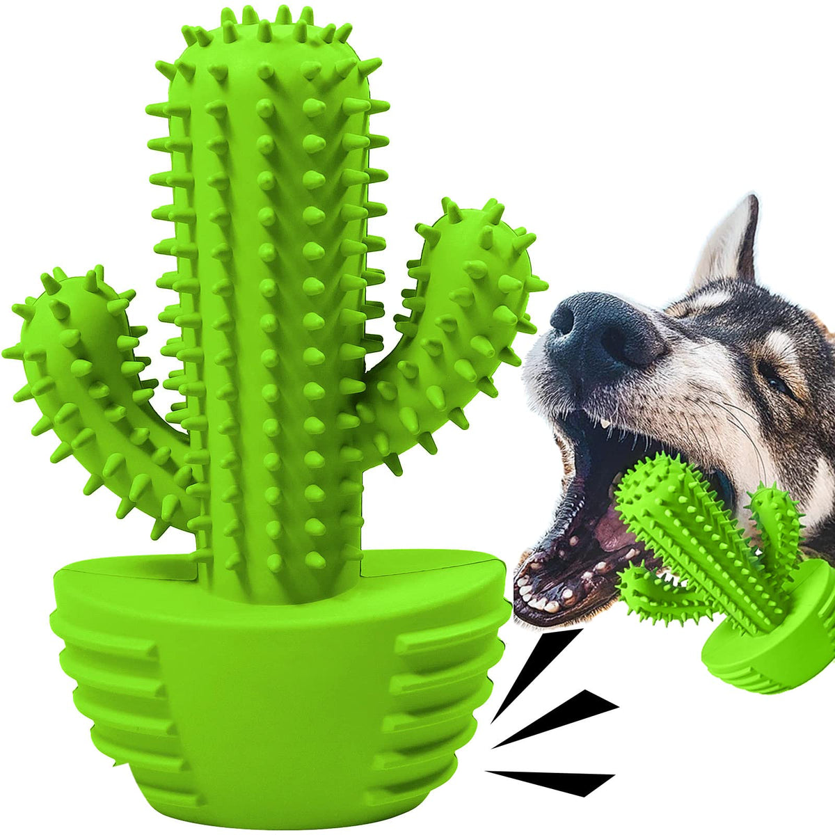 Jouet Pamlulu brosse dentaire baton pour chien, nettoyage en douceur.