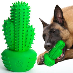 Pamlulu jouet brosse dentaire pour chien moyen grand, nettoyage ludique des dents.