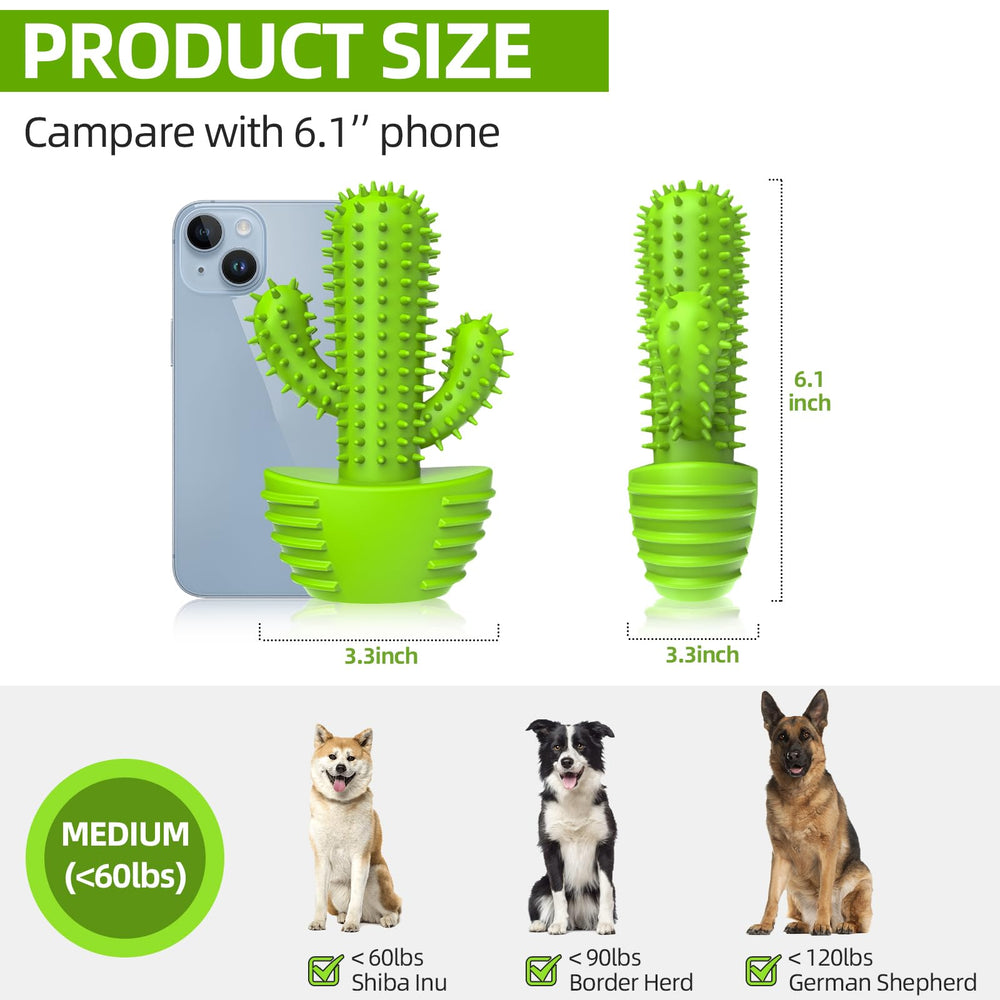 Jouet cactus dur Pamlulu, résistance pour mâchouilles prolongées.