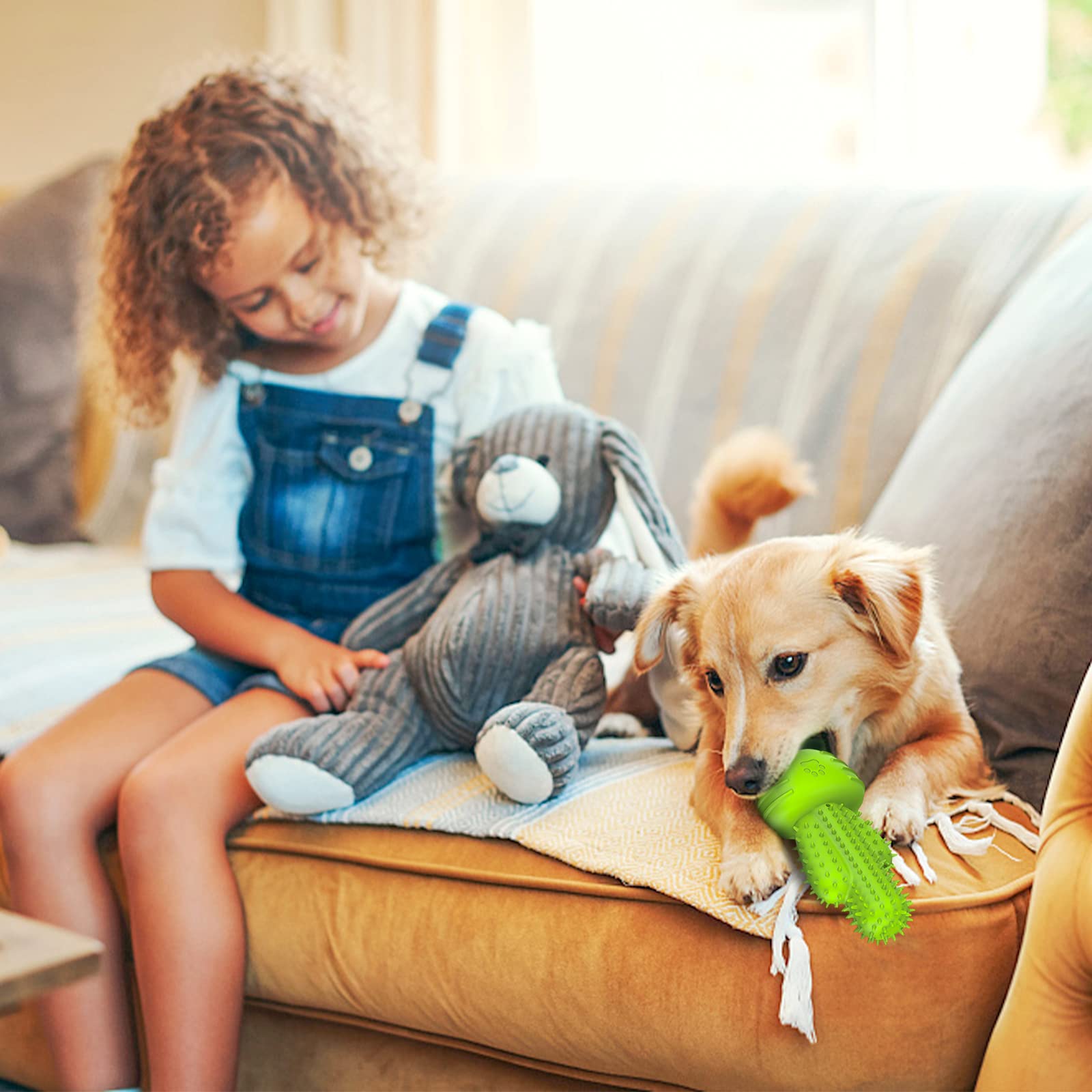 Pamlulu - Jouet-durable-pour-chiots, résistance pour chiots actifs