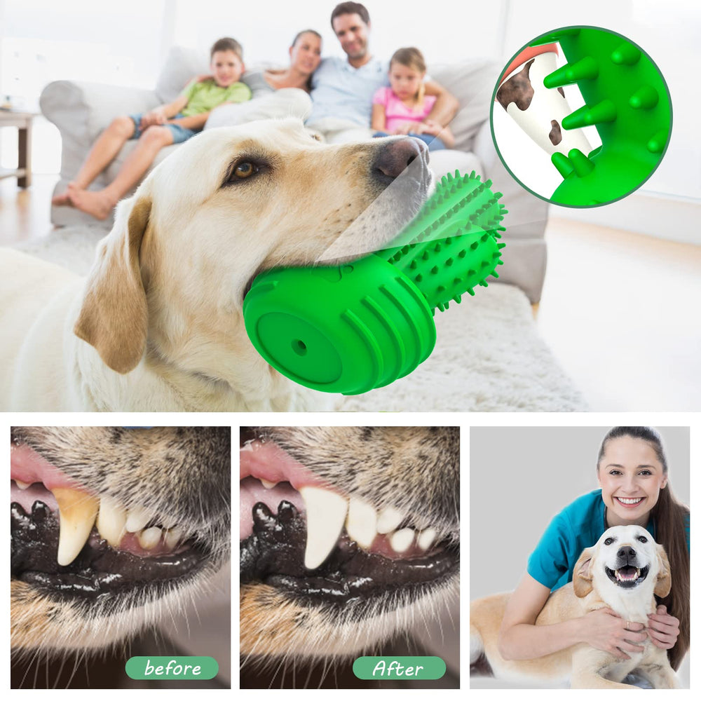 Pamlulu jouet rongeur interactif, stimule l'énergie du chien.