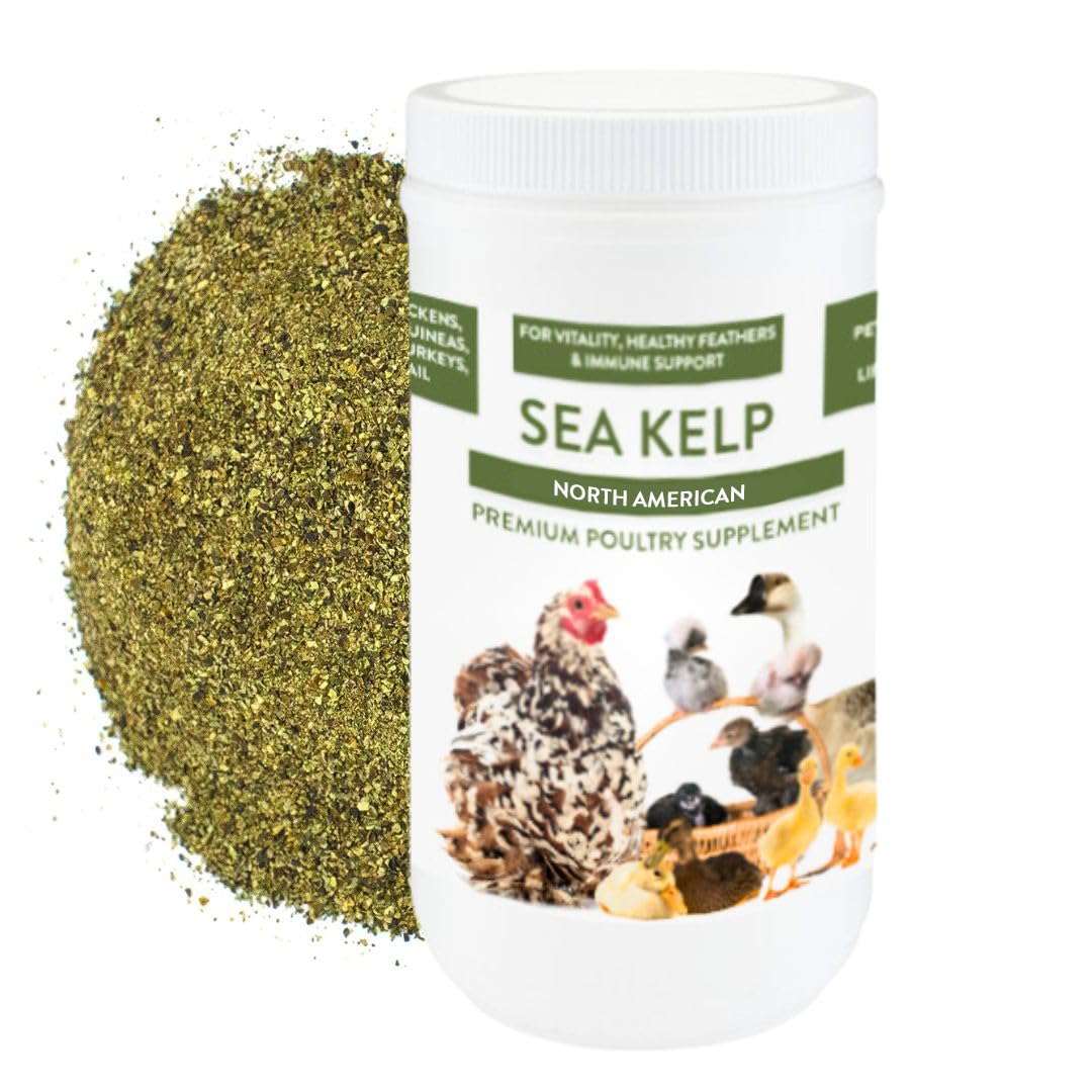 Pampered Chicken Mama algue brune mer - flacon pratique pour poulets.