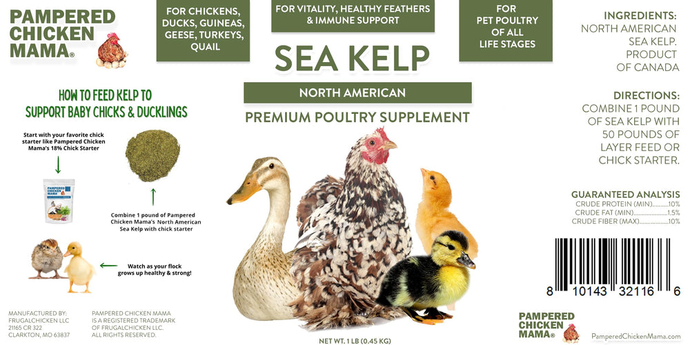 Pampered Chicken Mama digestion naturelle - algue brune pour poulets.
