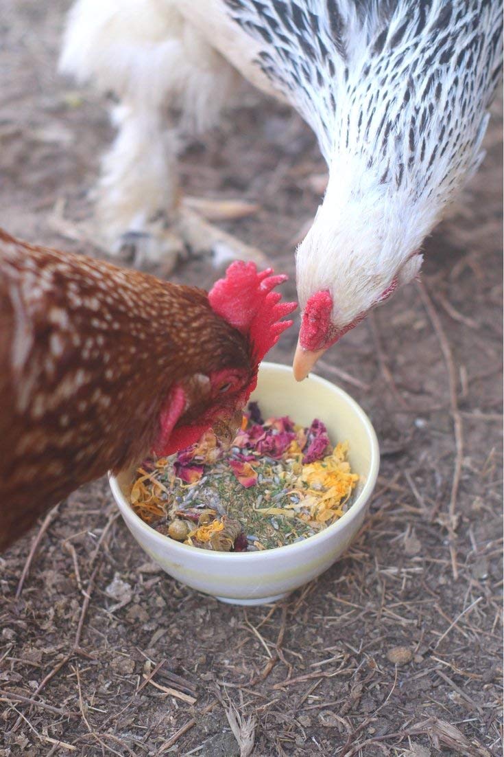 Pampered Chicken Mama – romarin-rose-lavande : parfum floral durable pour le nid