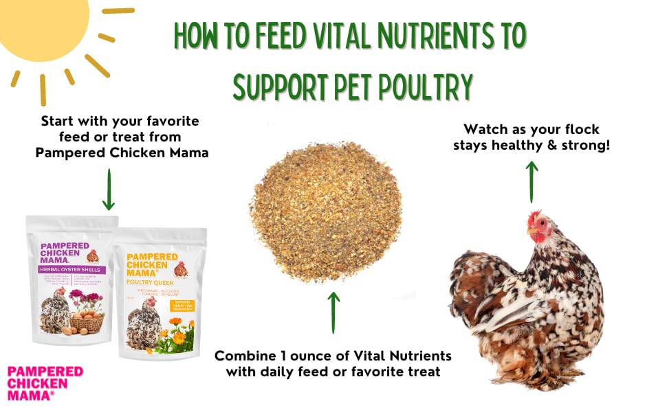 Pampered Chicken Mama Vitamines pour poulets — ajout facile dans l'alimentation journalière.