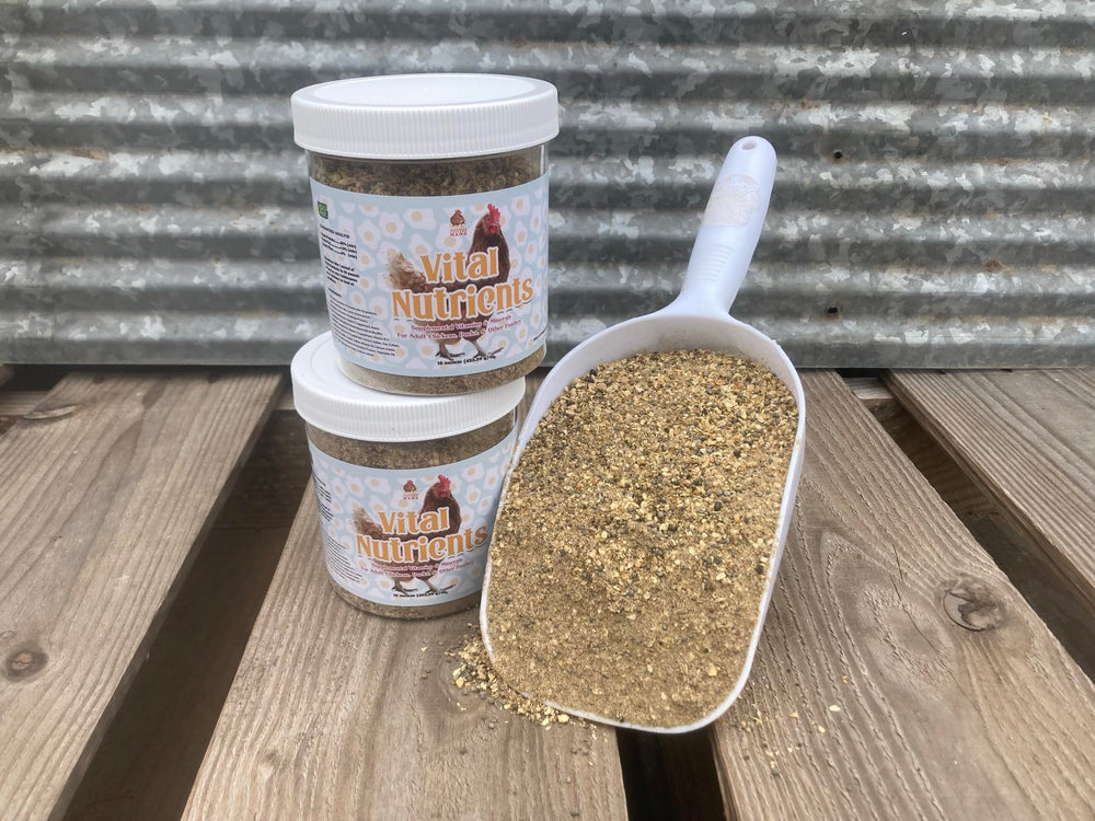 Pampered Chicken Mama Vitamines pour poulets — boost des œufs grâce aux vitamines essentielles.