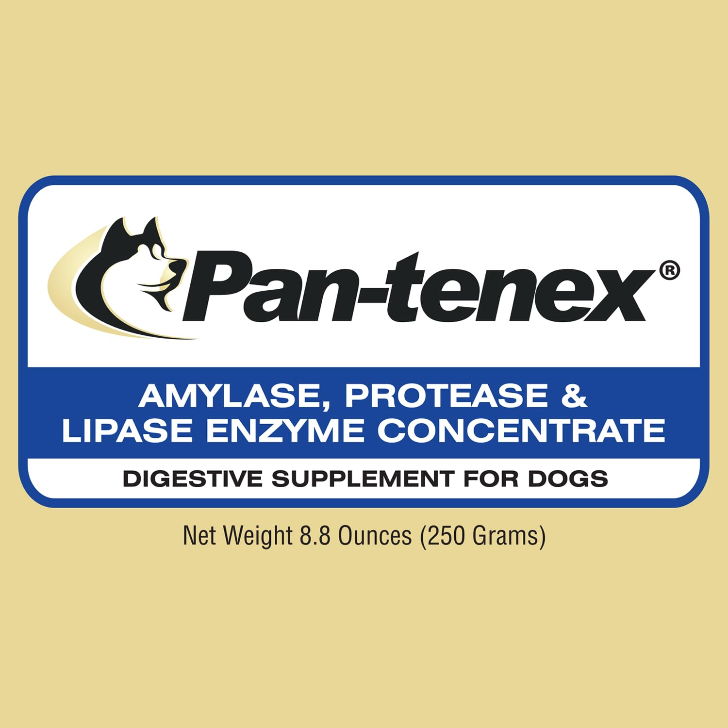 Pan-tenex 10x enzymes digestives — dose simple par repas pour réduire les inconforts après l'alimentation.