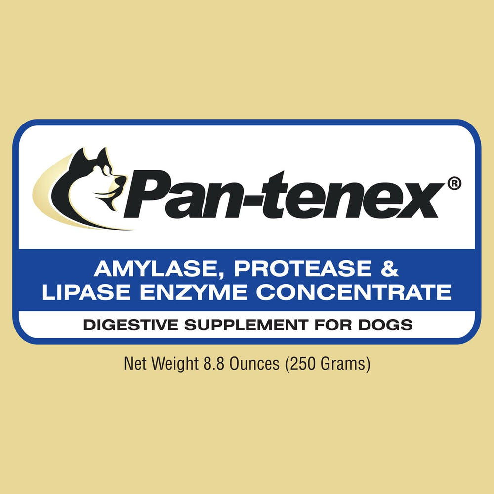 Pan-tenex 10x enzymes digestives — dose simple par repas pour réduire les inconforts après l'alimentation.