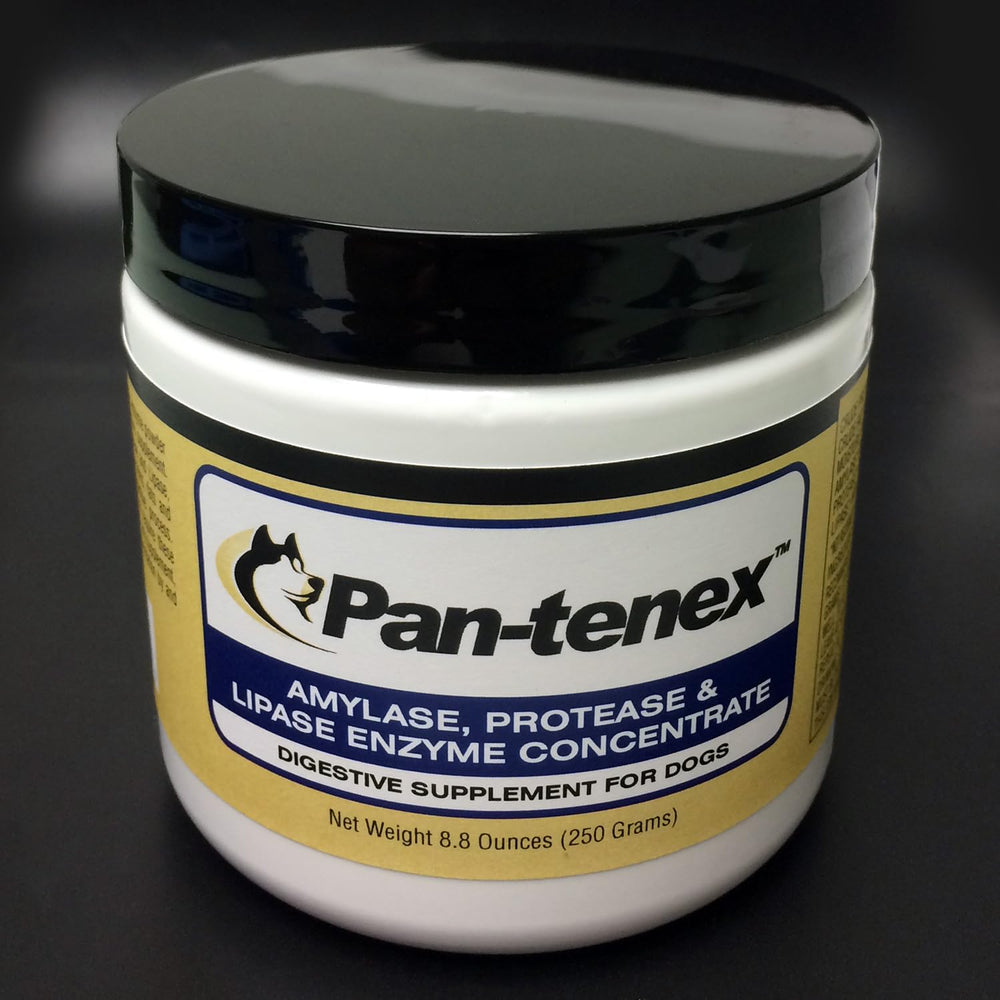 Pan-tenex enzymes digestives pour chiens — bouteille prête à l'emploi pour soutenir la digestion après les repas.
