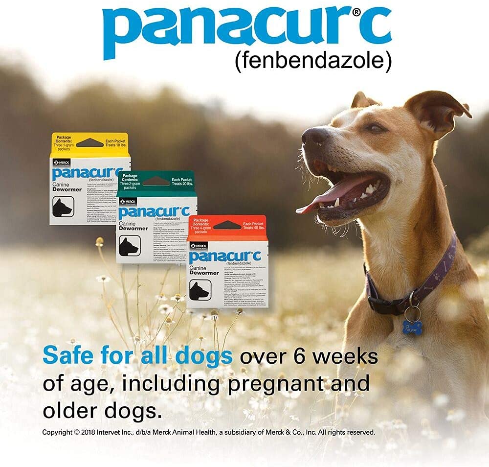 Panacur C: boîte-produit prête à l'utilisation.