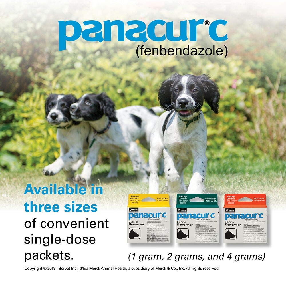 Panacur C – mélange facile dans l’alimentation, ingestion assurée.