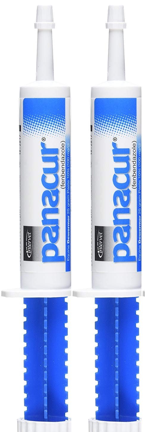 Panacur Paste cheval 10% aromatisée pomme cannelle, bénéfice potentiel de contrôle parasitaire.