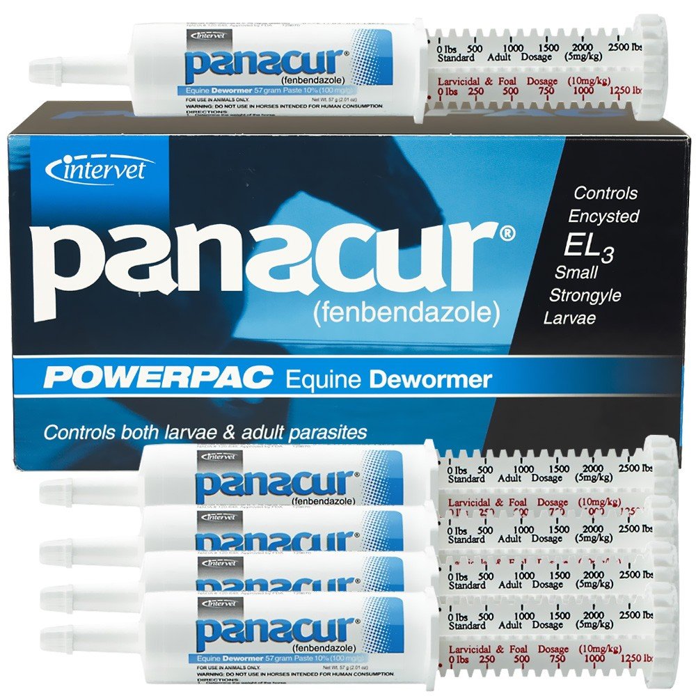Panacur Powerpac 5-pack : seringues prêtes à l'emploi pour le traitement antiparasitaire équin.