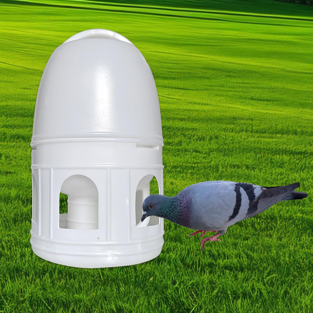 Utilisation quotidienne avec pigeons et oiseaux moyens grâce à Panchitalk.