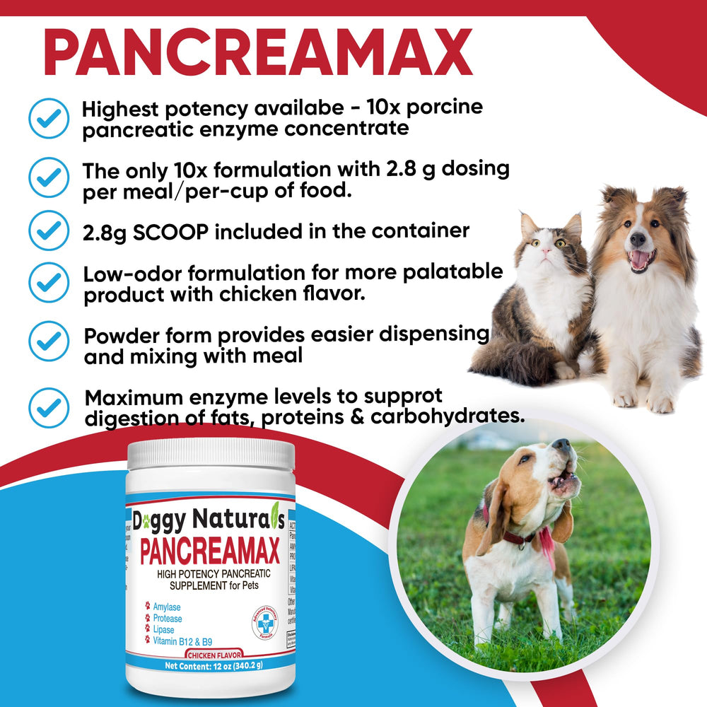 Pancreamax mélange avec nourriture humide, mélange simple sans dissolution complète nécessaire.