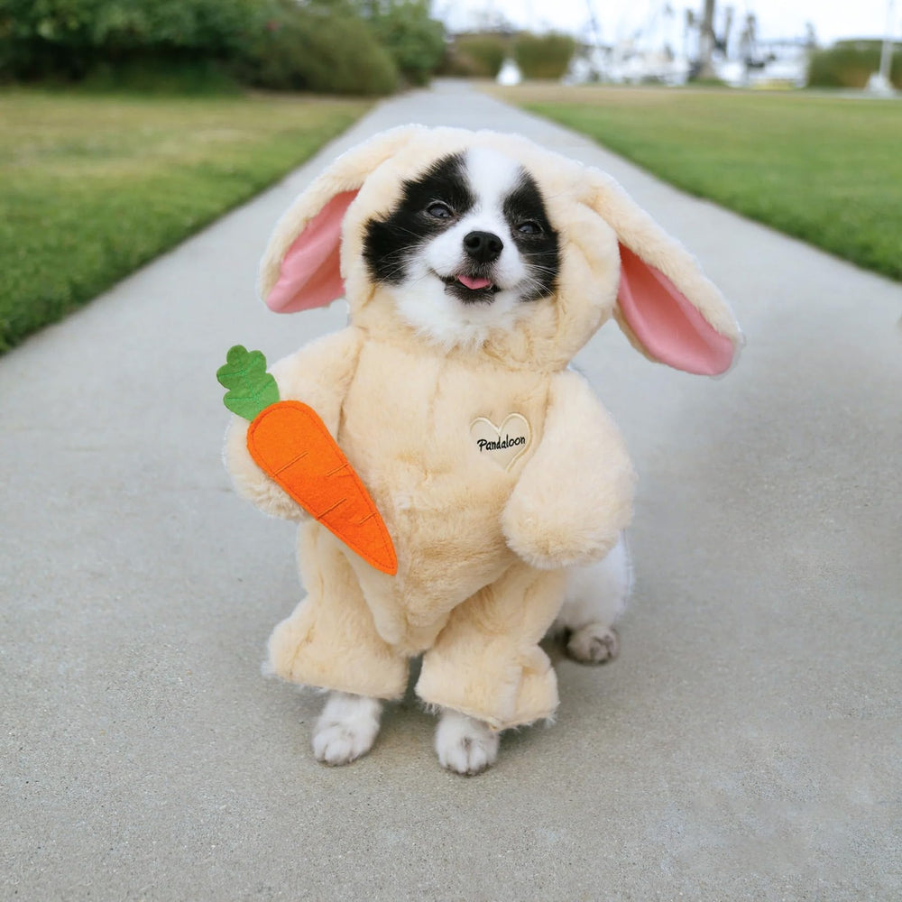 Pandaloon costume chien ajustable, réglez facilement la taille pour un ajustement confortable.