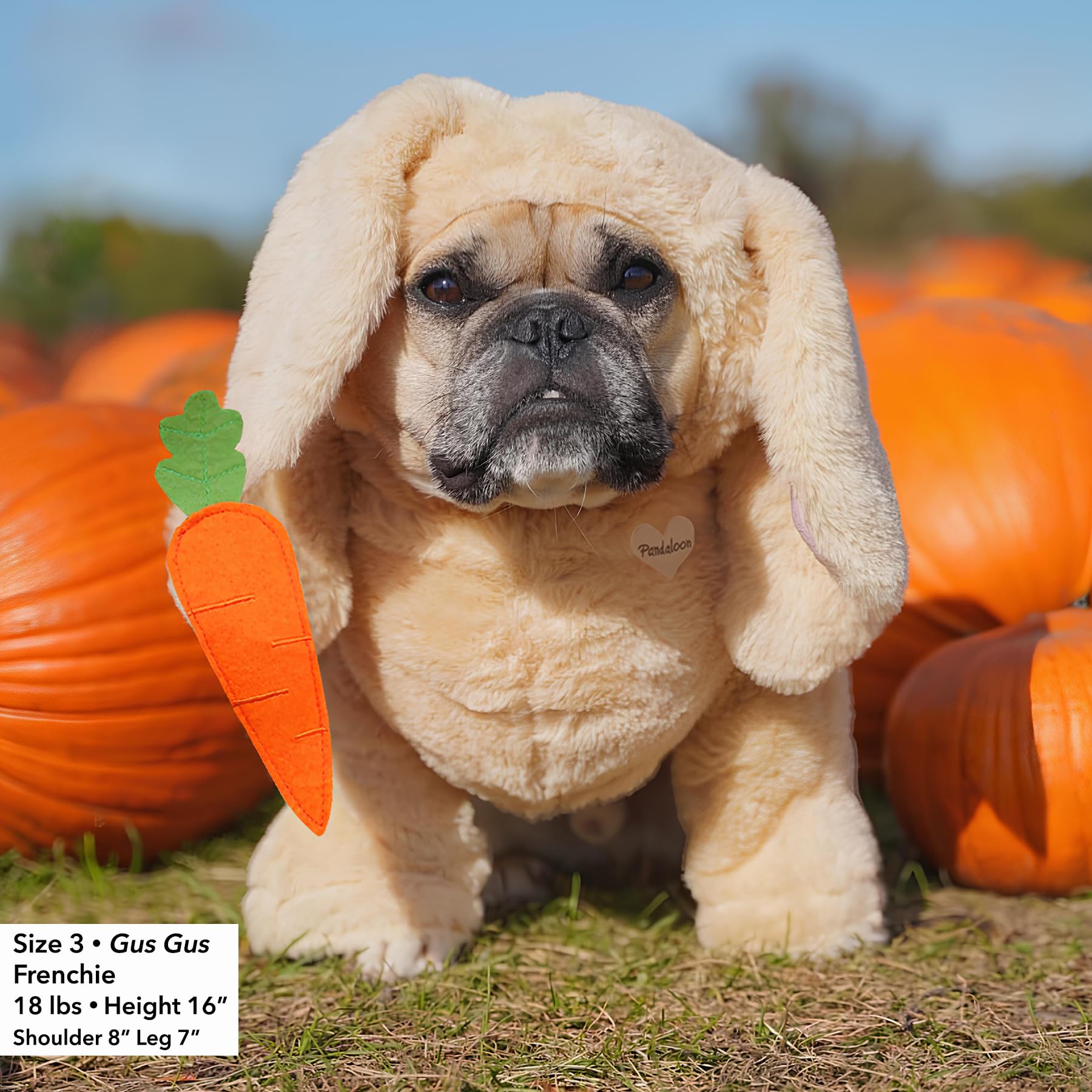 Pandaloon costume chien mesure-tête à pattes, ajustement précis et confort.