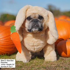 Pandaloon costume chien mesure-tête à pattes, ajustement précis et confort.