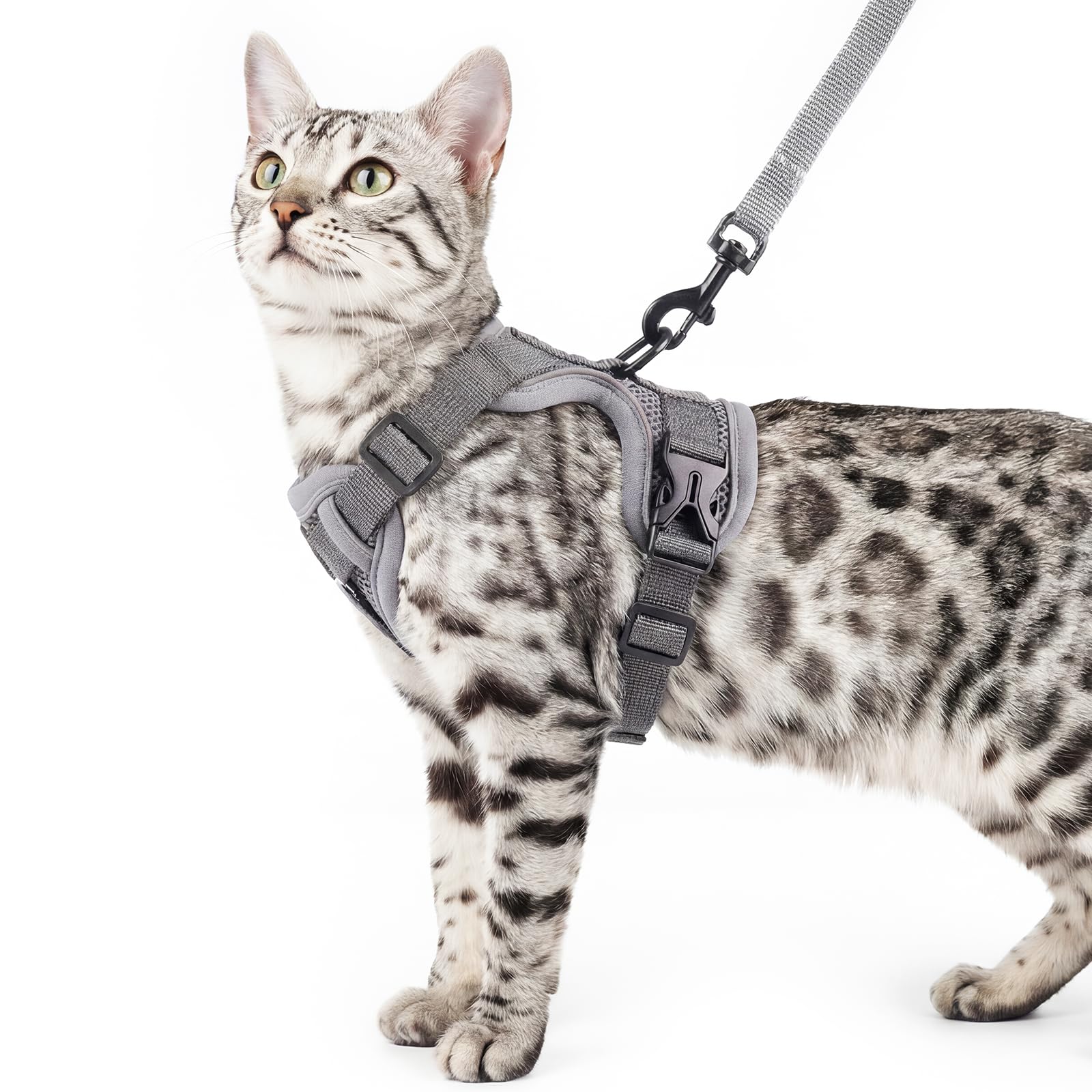 Le harnais pangdi ajustable avec boucles rapides offre un ajustement personnalisé pour votre chat.