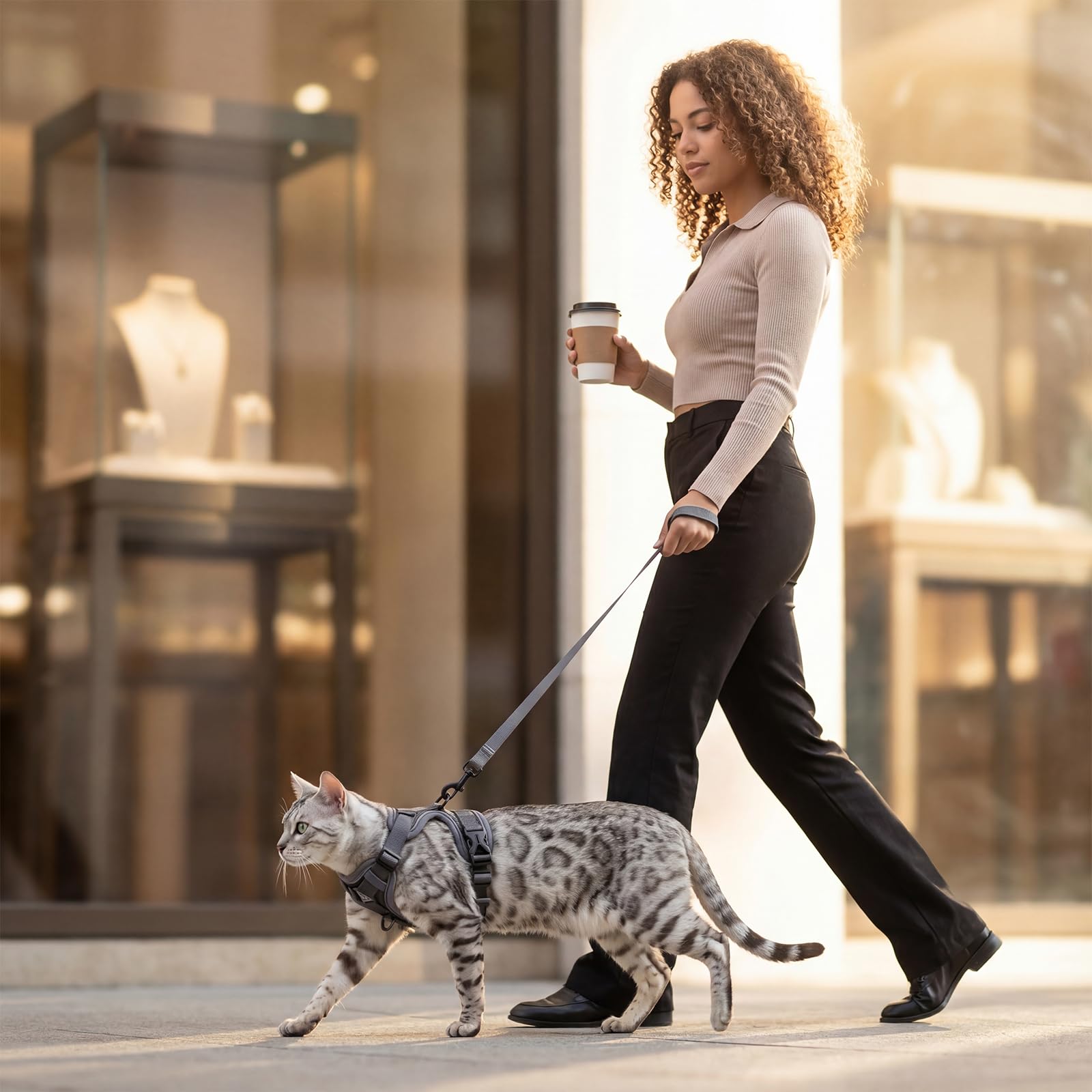 Confort et tranquillité pour votre chat grâce au design pangdi.