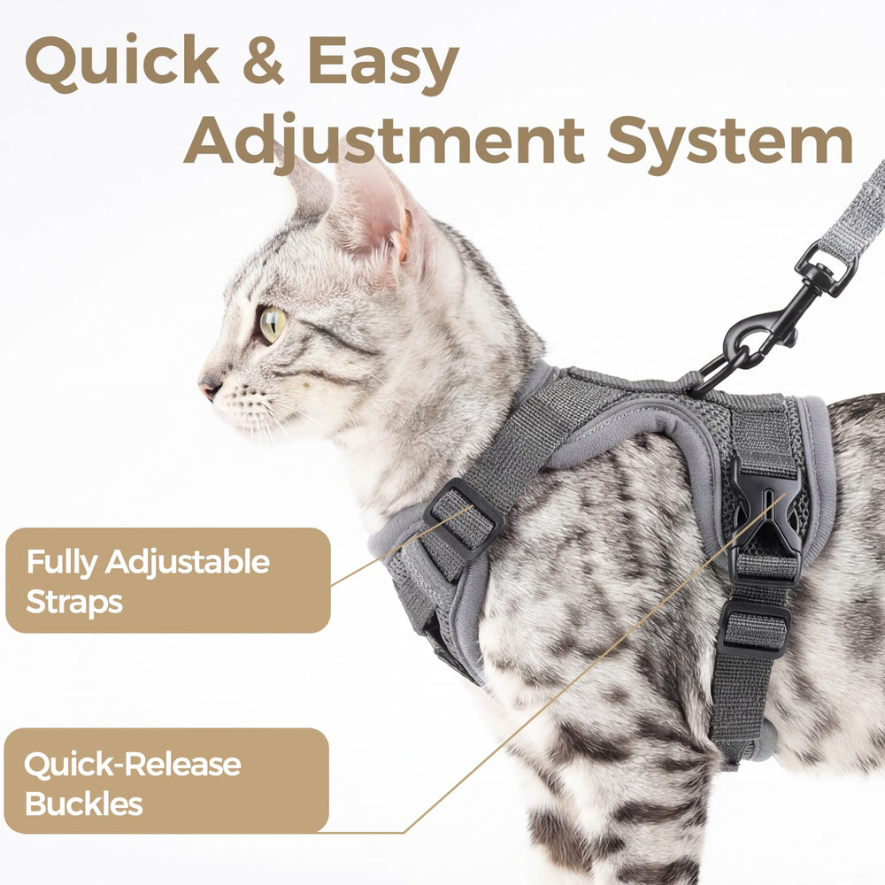 Laisse attachée pangdi pour garder votre chat près de vous lors des promenades.