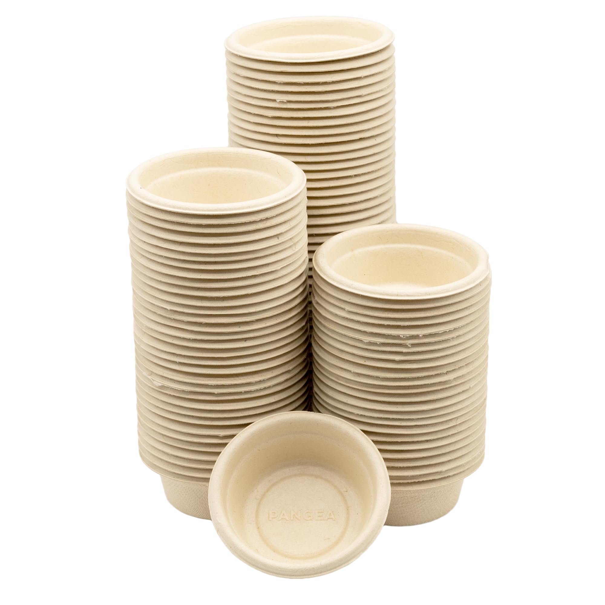 Gobelets Pangea 1,5 oz pour gecko Cresté, jetables.