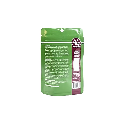 Gecko en alimentation avec le mélange Pangea Gecko Diet Watermelon 2oz.