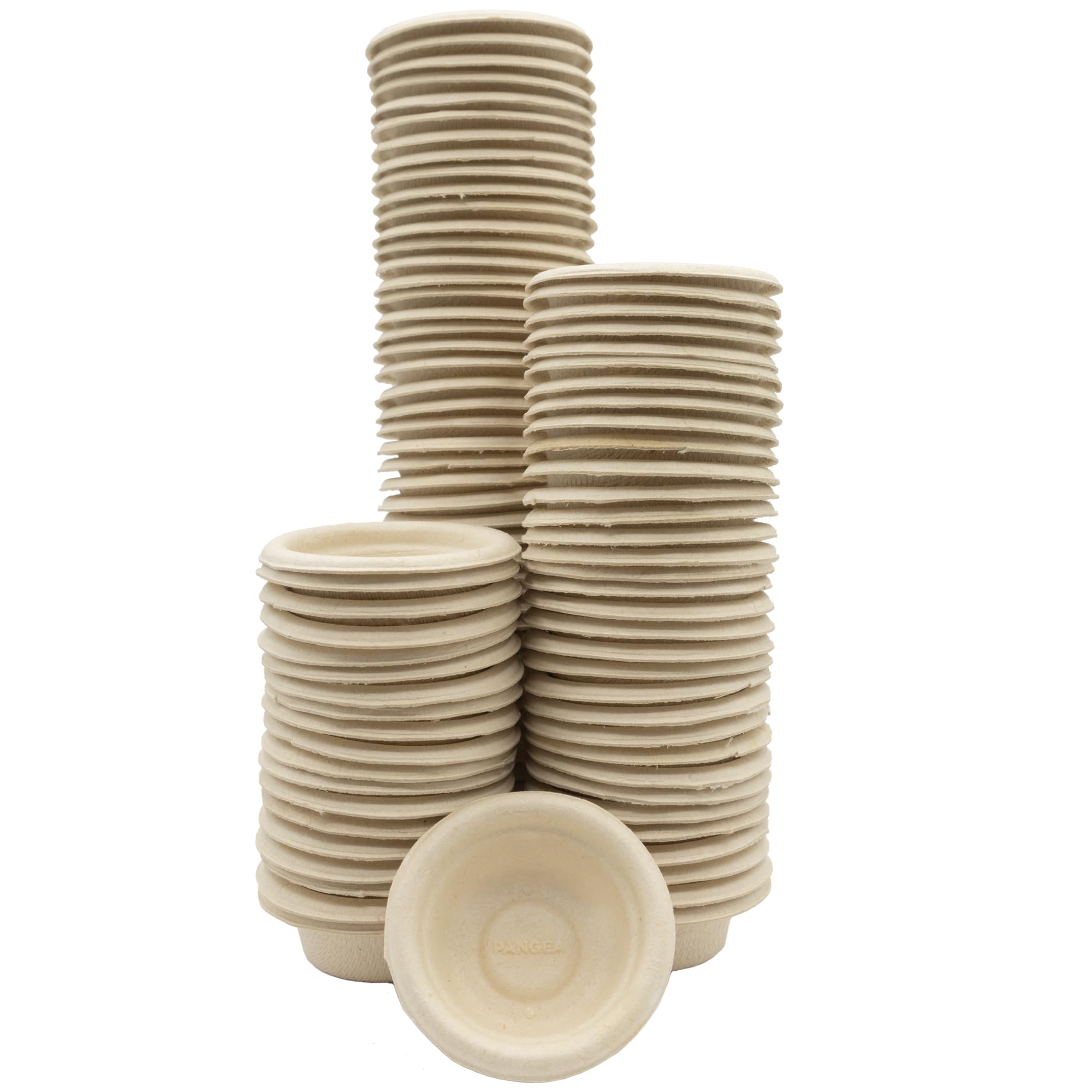 Gobelets Pangea Gecko 0,5 oz – 100 unités, prêt à l'emploi.