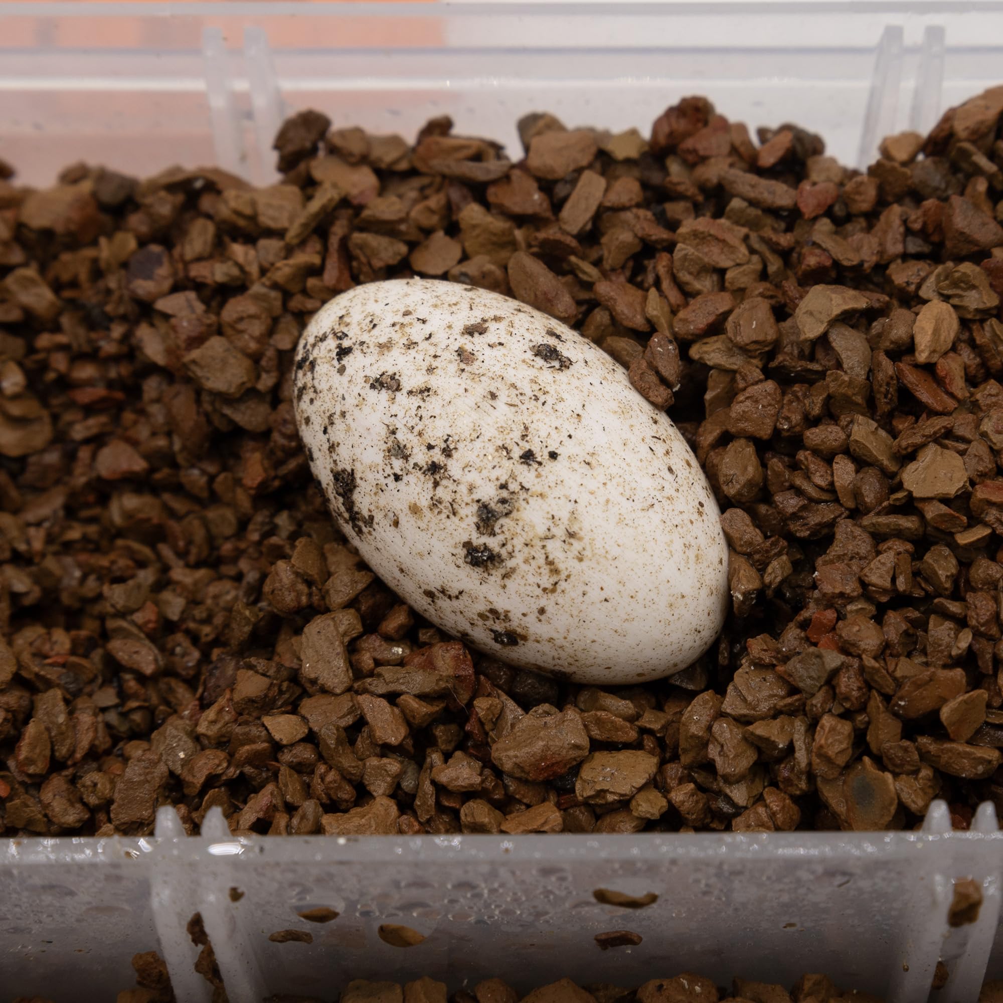 Pangea Hatch Substrat emballage soigné et stockage pratique
