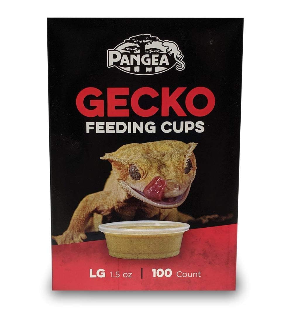 Pangea tasses-remplacement Gecko Ledge compatibles et faciles à nettoyer après alimentation.