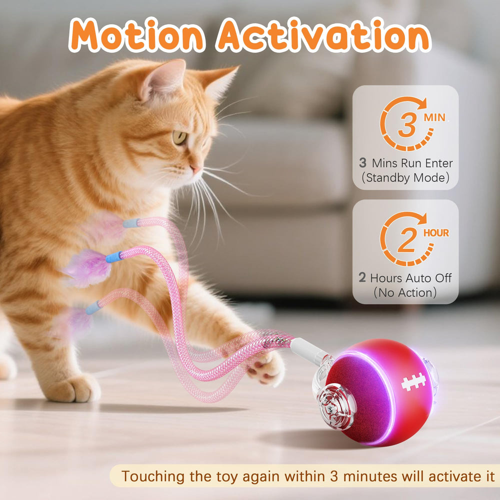 PANRIO déplacement aléatoire : mouvements imprévisibles captivent les chats curieux.