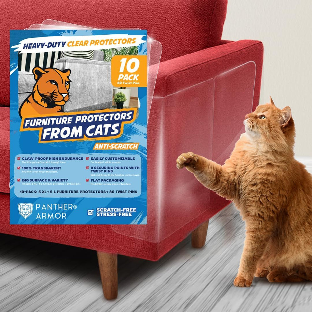 Panther Armor protège-canapé transparent XL, protection contre les griffures