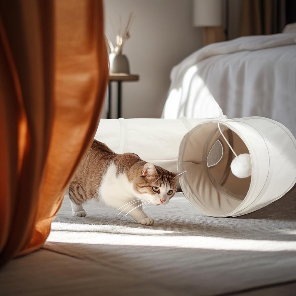 PAOPO Cat Tunnel finition beige pour salon neutre