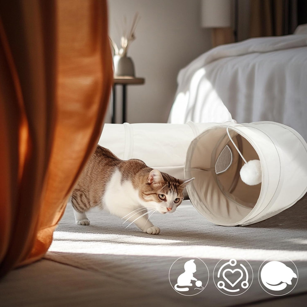 PAOPO Cat Tunnel nettoyage rapide et entretien facile