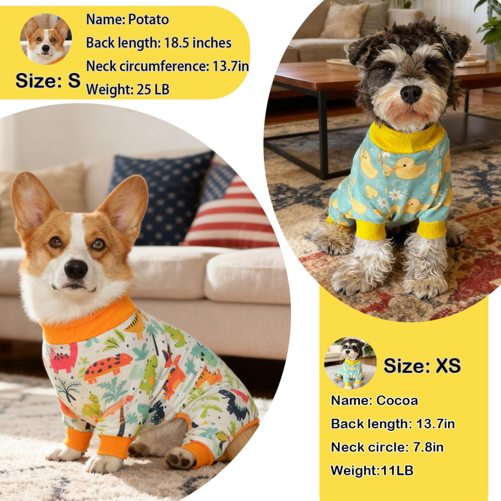 PAPIAMEN Pyjama chien canard jaune, vue dos montrant le design cosy.
