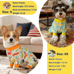 PAPIAMEN Pyjama chien canard jaune, vue dos montrant le design cosy.