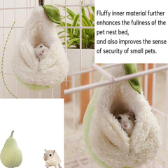 PAPIEEED design-ventilation hamster : équilibre chaleur et flux d'air.