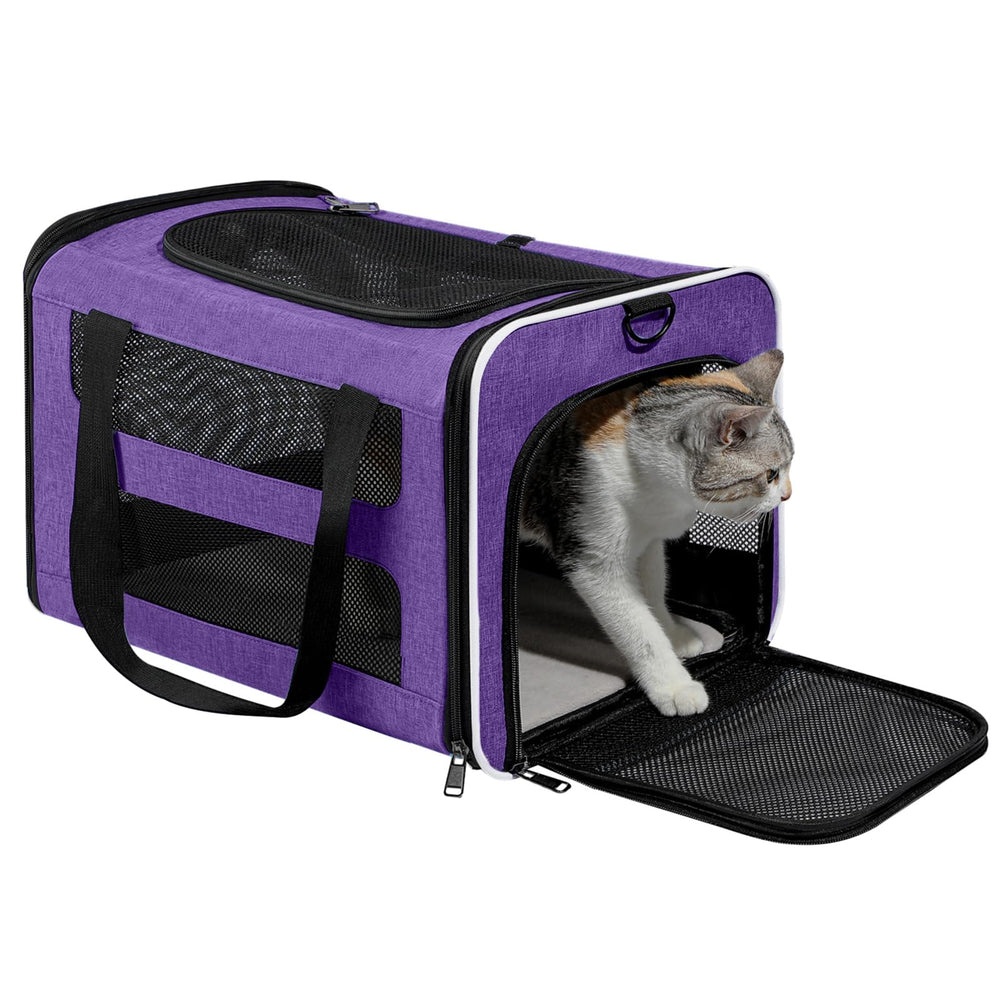 PAPZER Design violet: esthétique moderne et fonctionnelle.