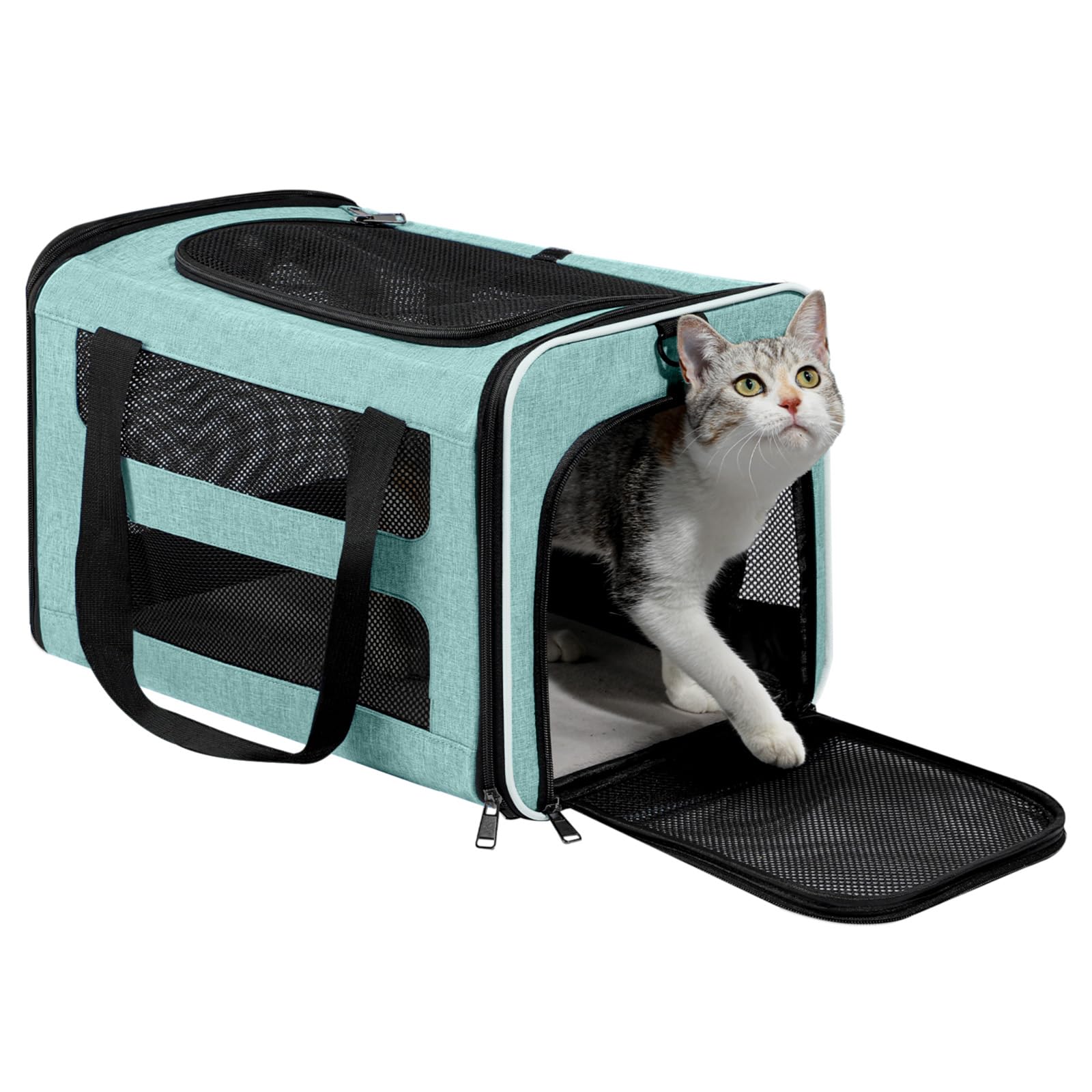PAPZER sac de transport chat moyen vue d ensemble, confort et capacité.