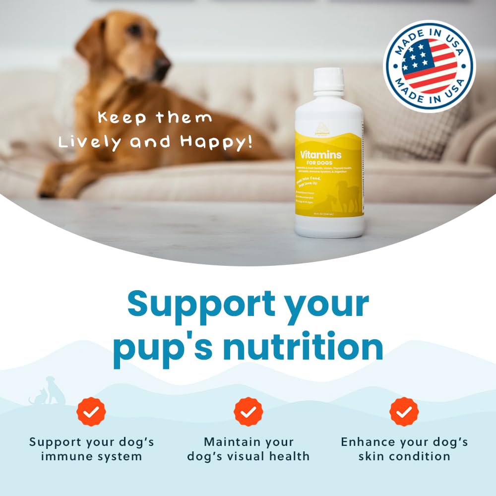 Soutien immunitaire Paramount Pet Health, gouttes naturelles pour chien.