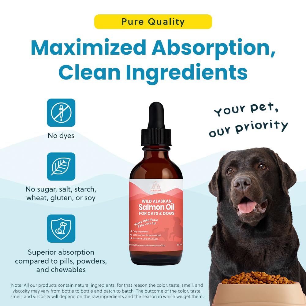 Chien au pelage lustré grâce à Paramount Pet Health.