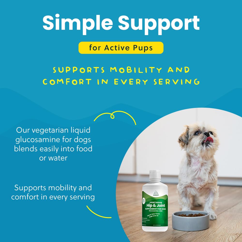 Paramount Pet Health flacon pratique, administration facile sans pilules.