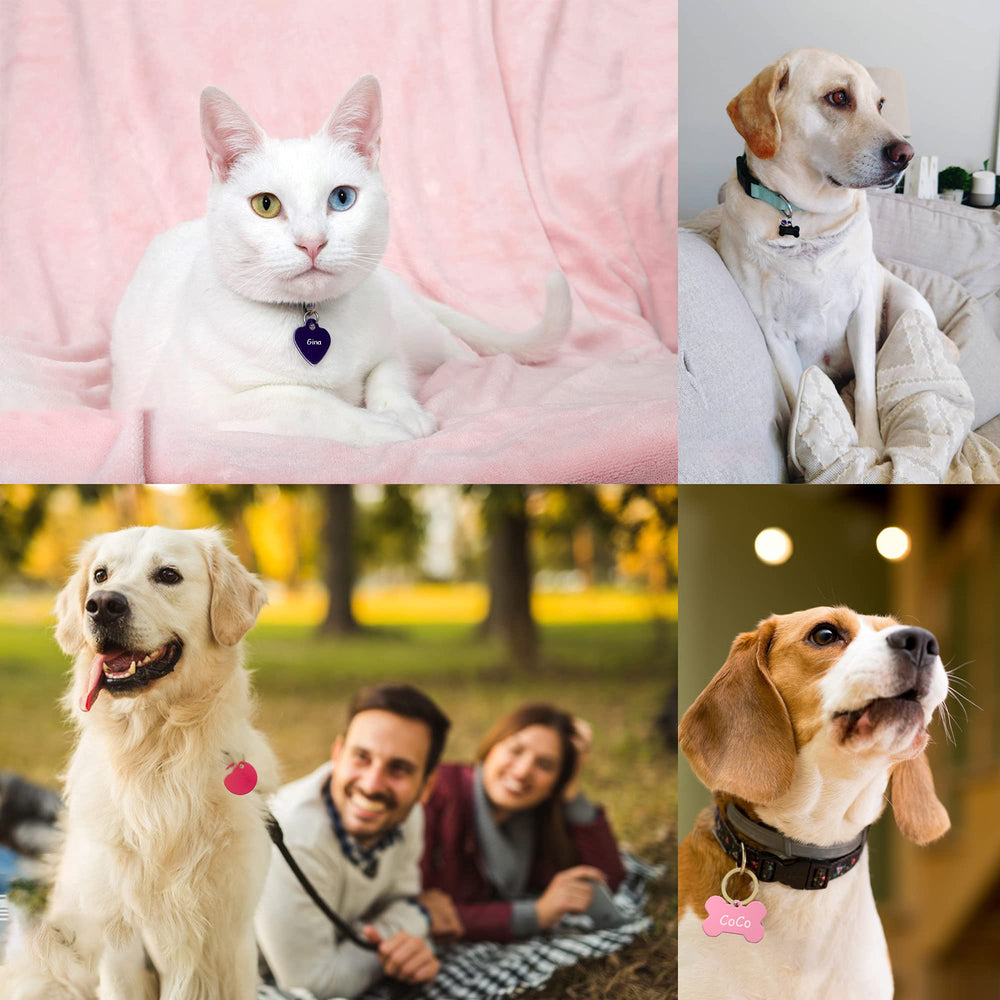 Cadeau idéal PARAOR pour amis et animaux.