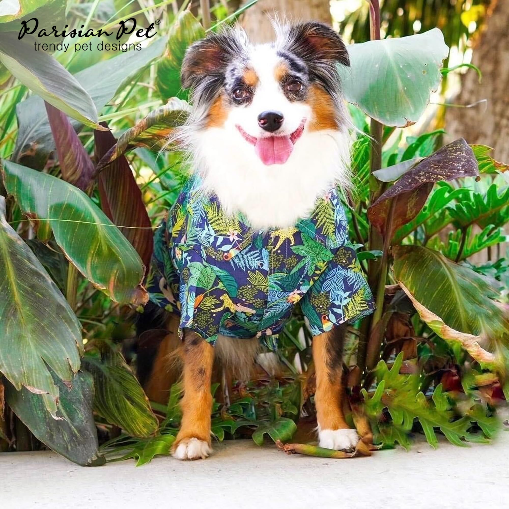 Parisian Pet Amazonia chemise coupe décontractée pour mouvements libres