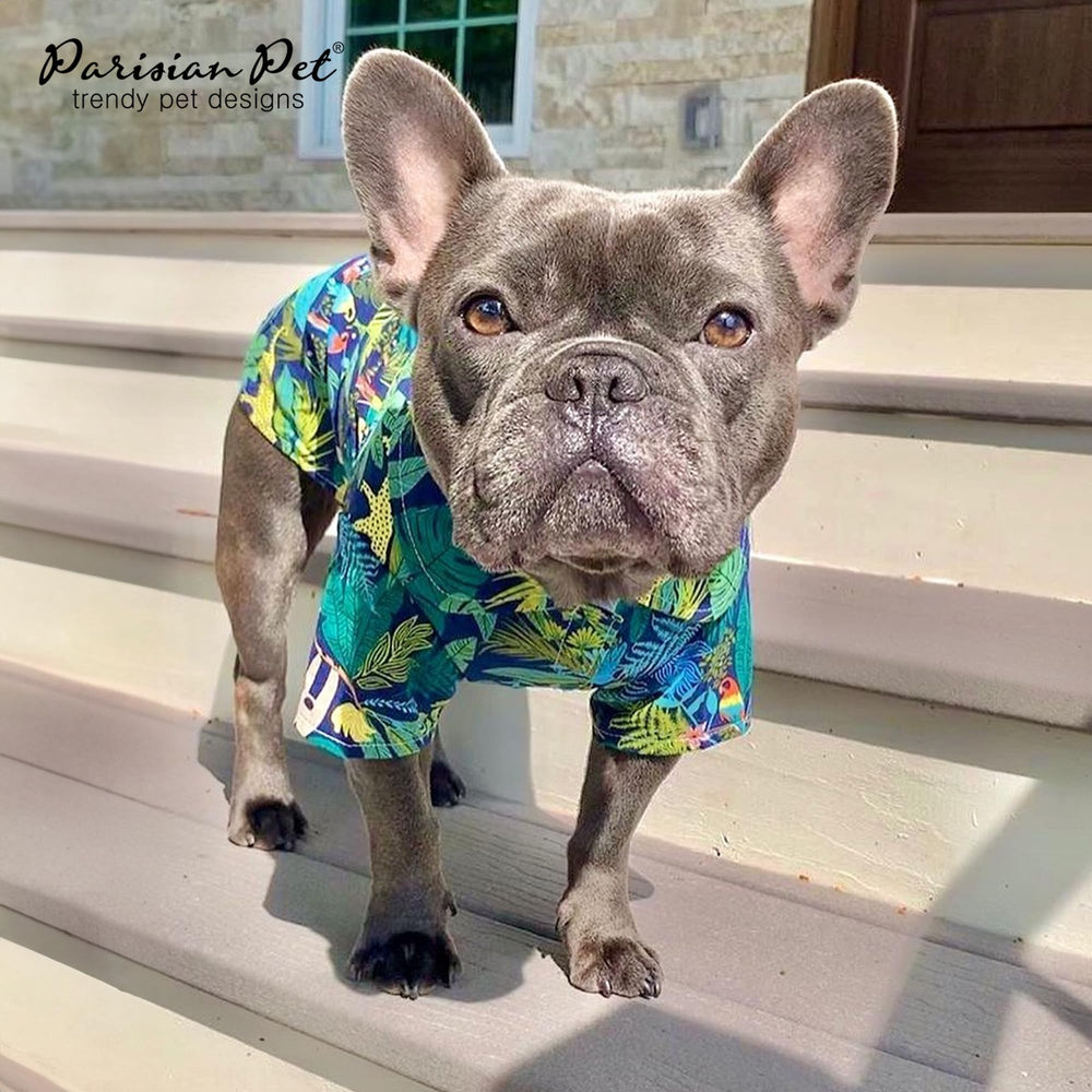 Parisian Pet Amazonia chemise disponible XS à 3XL pour toutes tailles