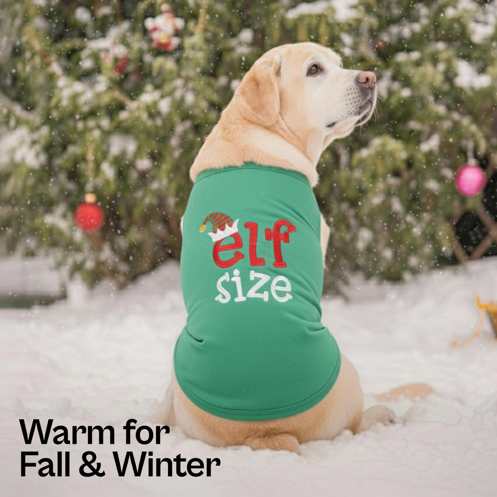 Chien en extérieur portant chemise Noël légère, promenade festive.