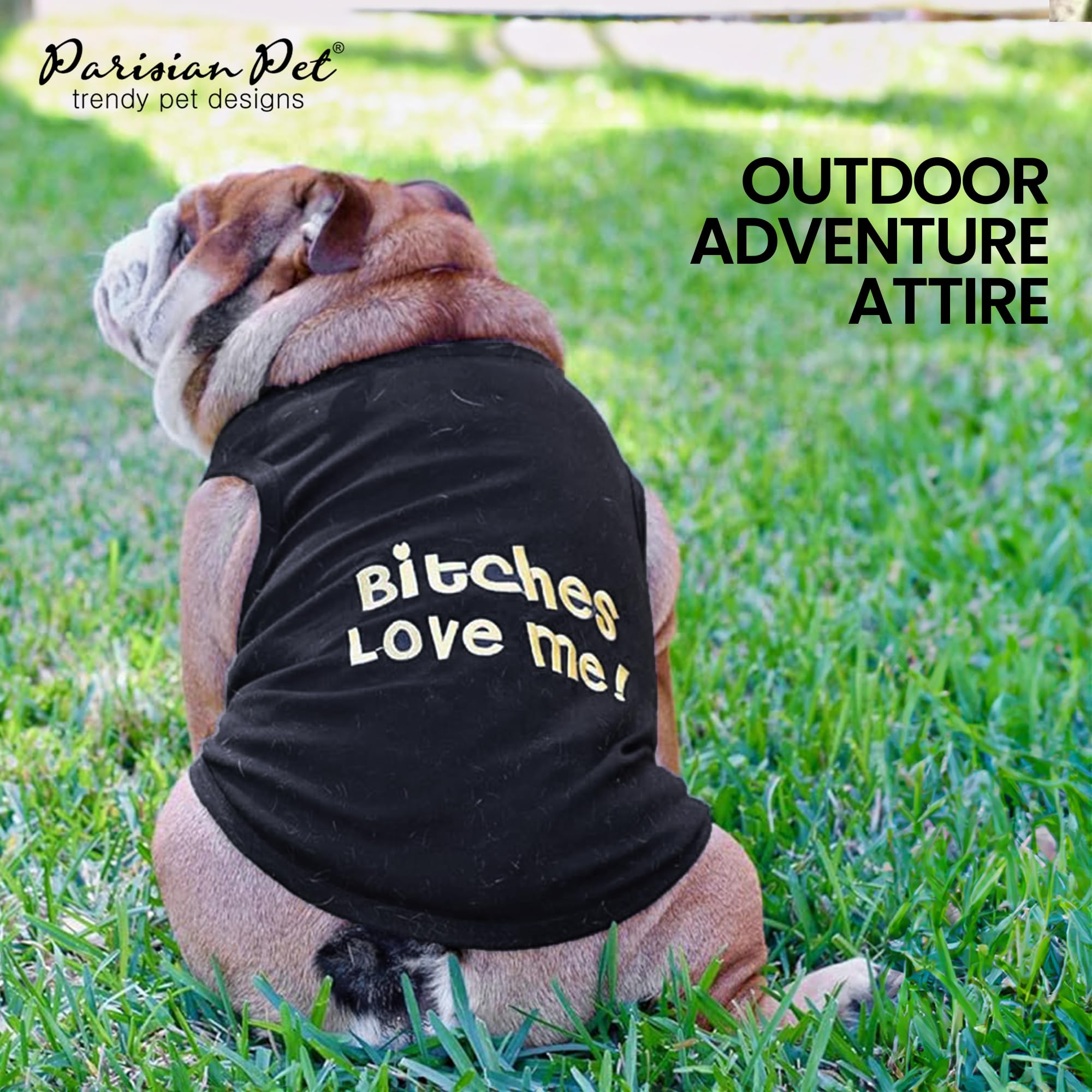 Parisian Pet chemise chien enfilage simple, pratique pour les sorties.